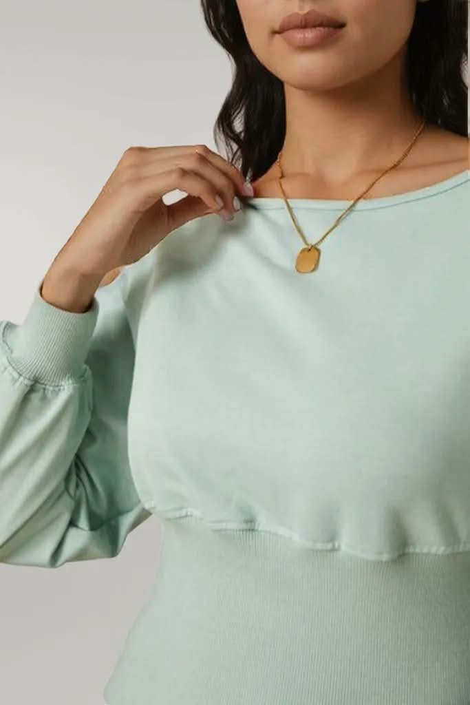 Boat Neck Lantern Sleeve Blouse