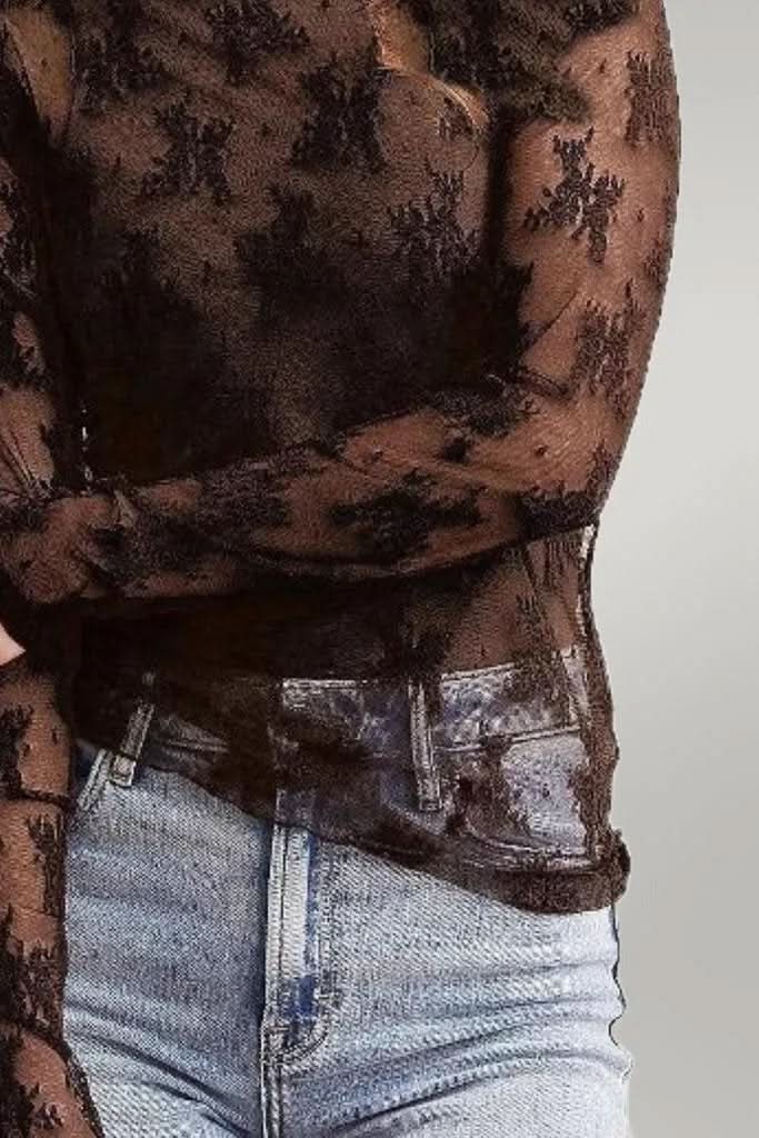 Mock Neck Long Sleeve Sheer Top