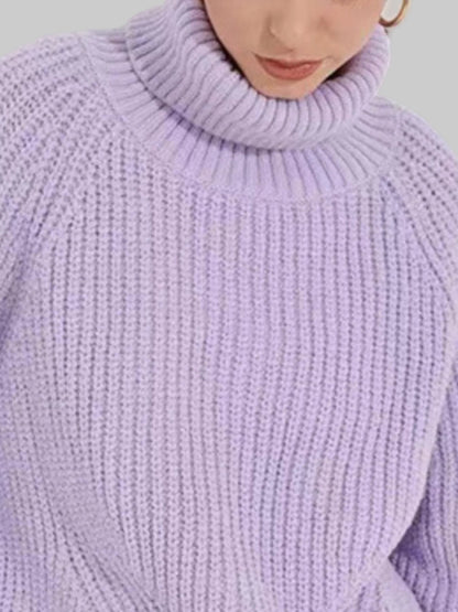 Turtleneck Long Sleeve Sweater